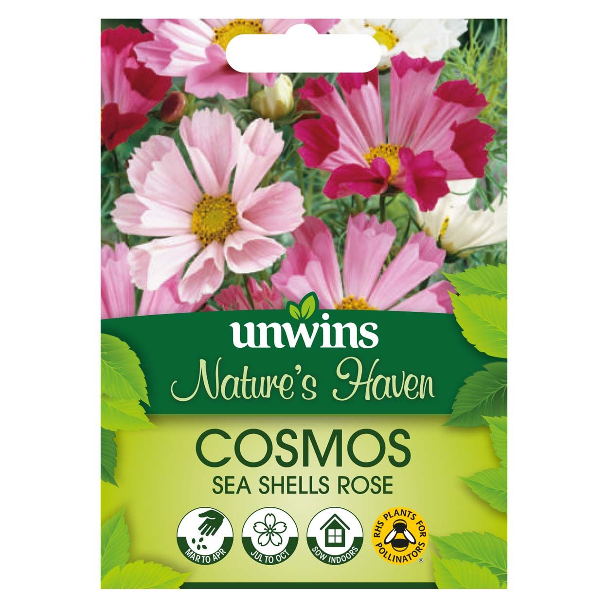 NH Cosmos Sea Shells Rose