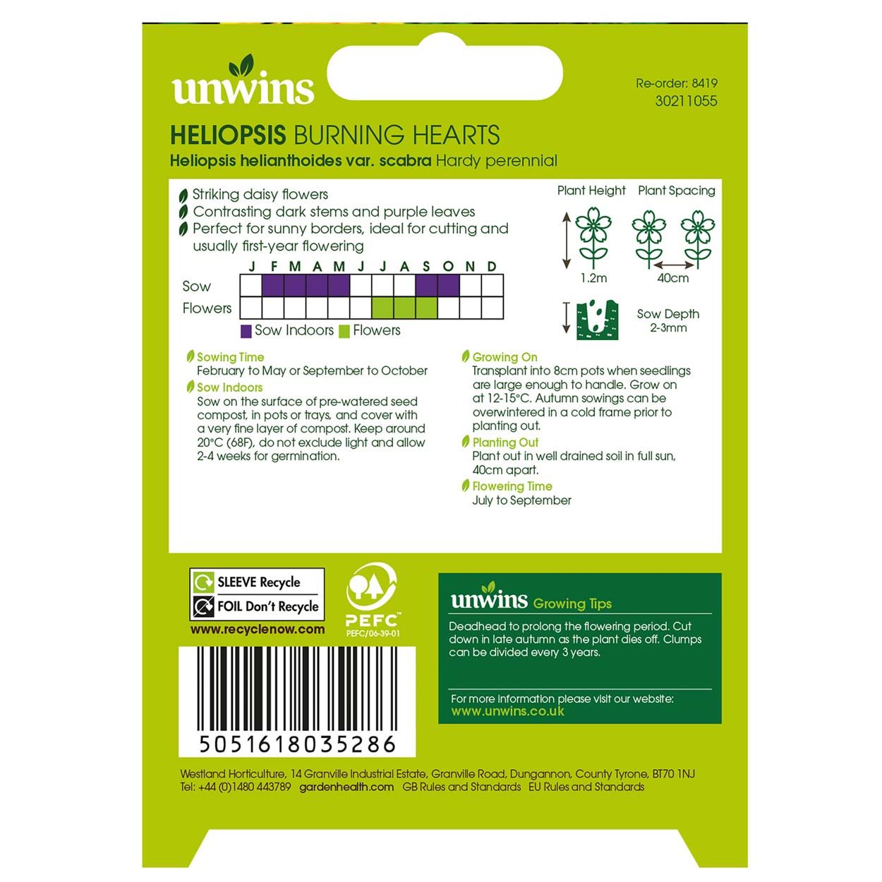 NH Heliopsis Burning Hearts