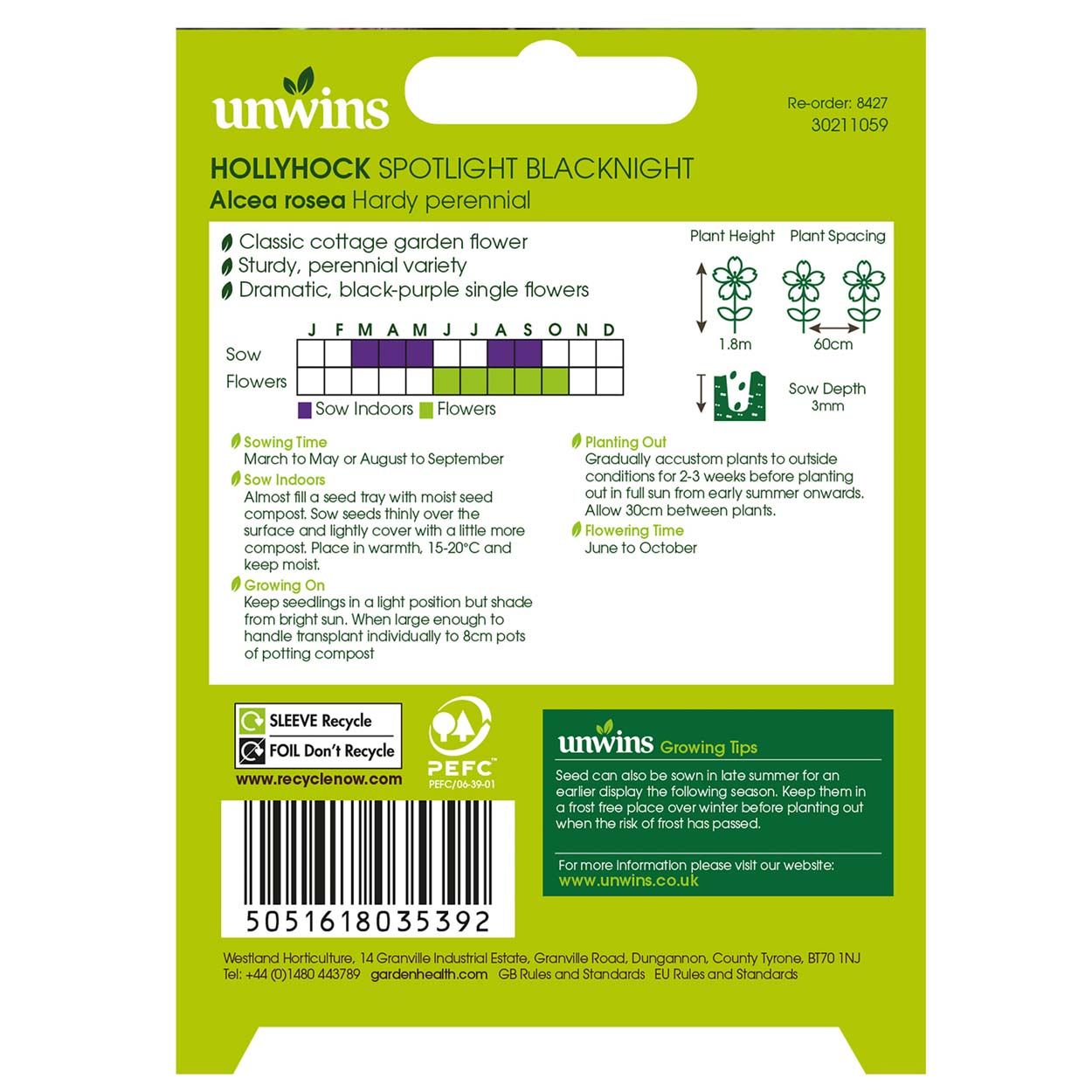 NH Hollyhock Spotlight Blacknight