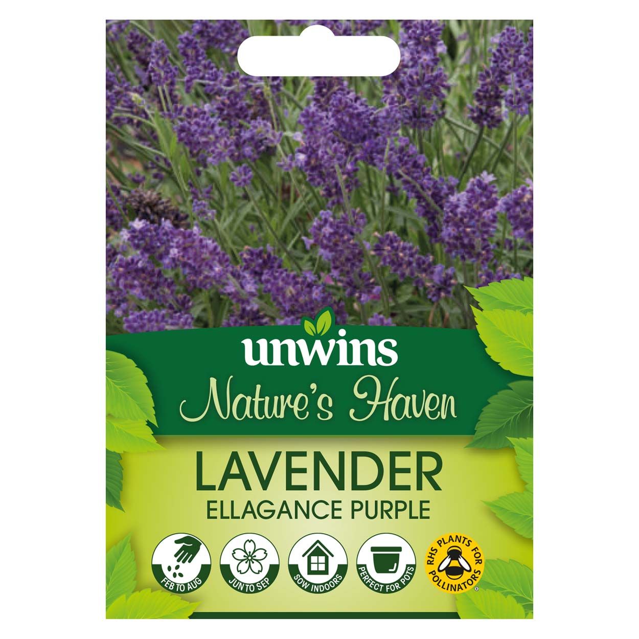NH Lavender Ellagance Purple