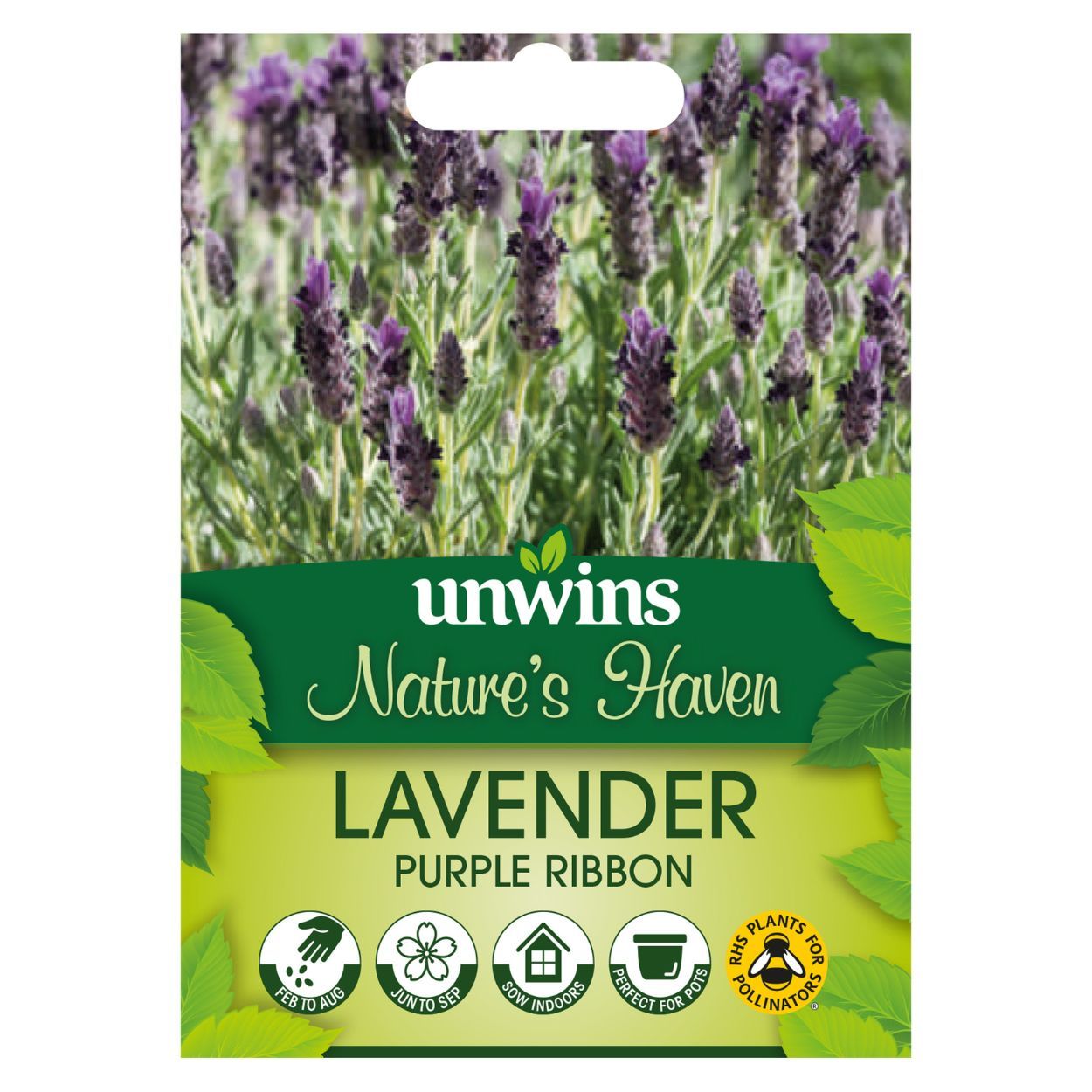 NH Lavender Purple Ribbon