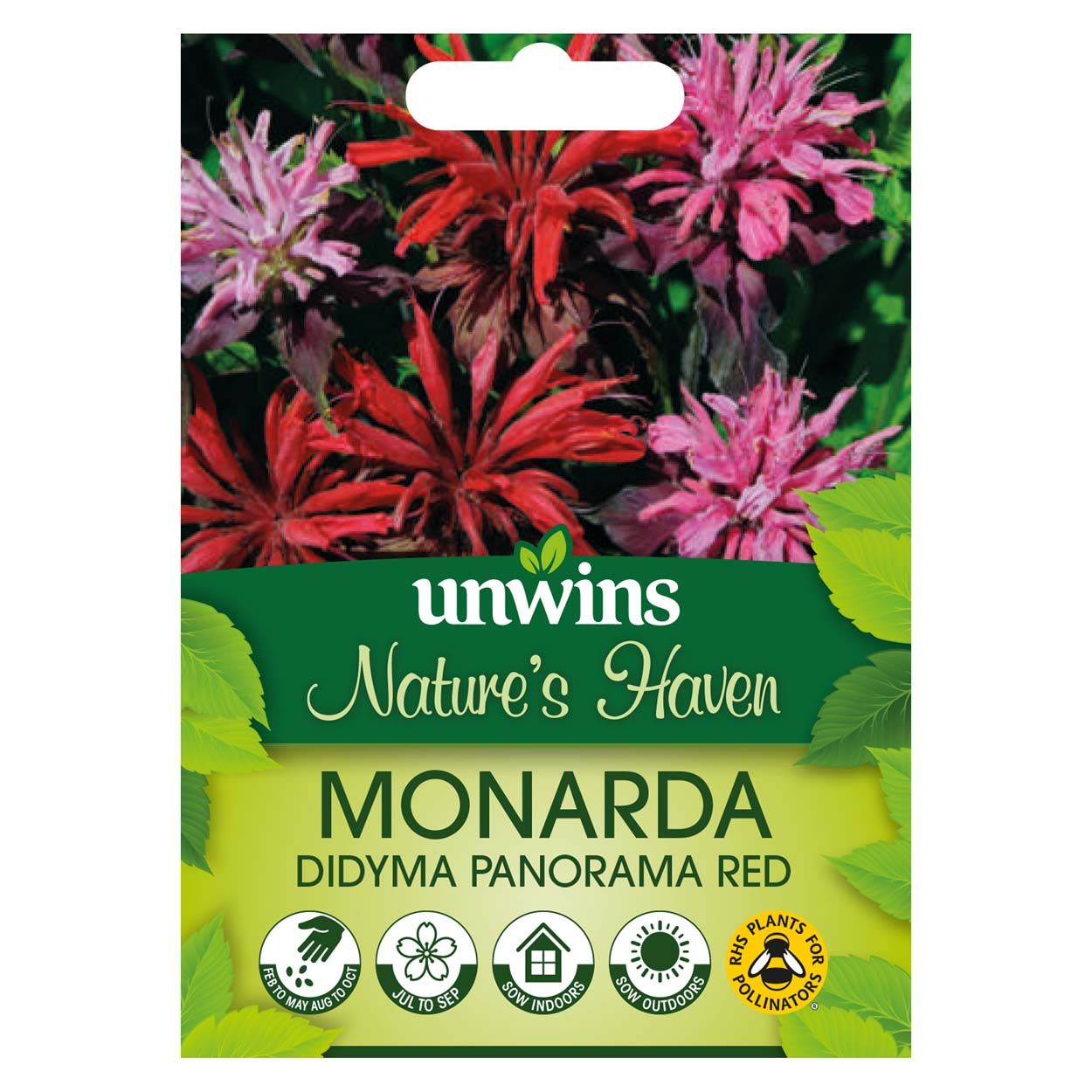 NH Monarda didyma Red Shades Panorama Red