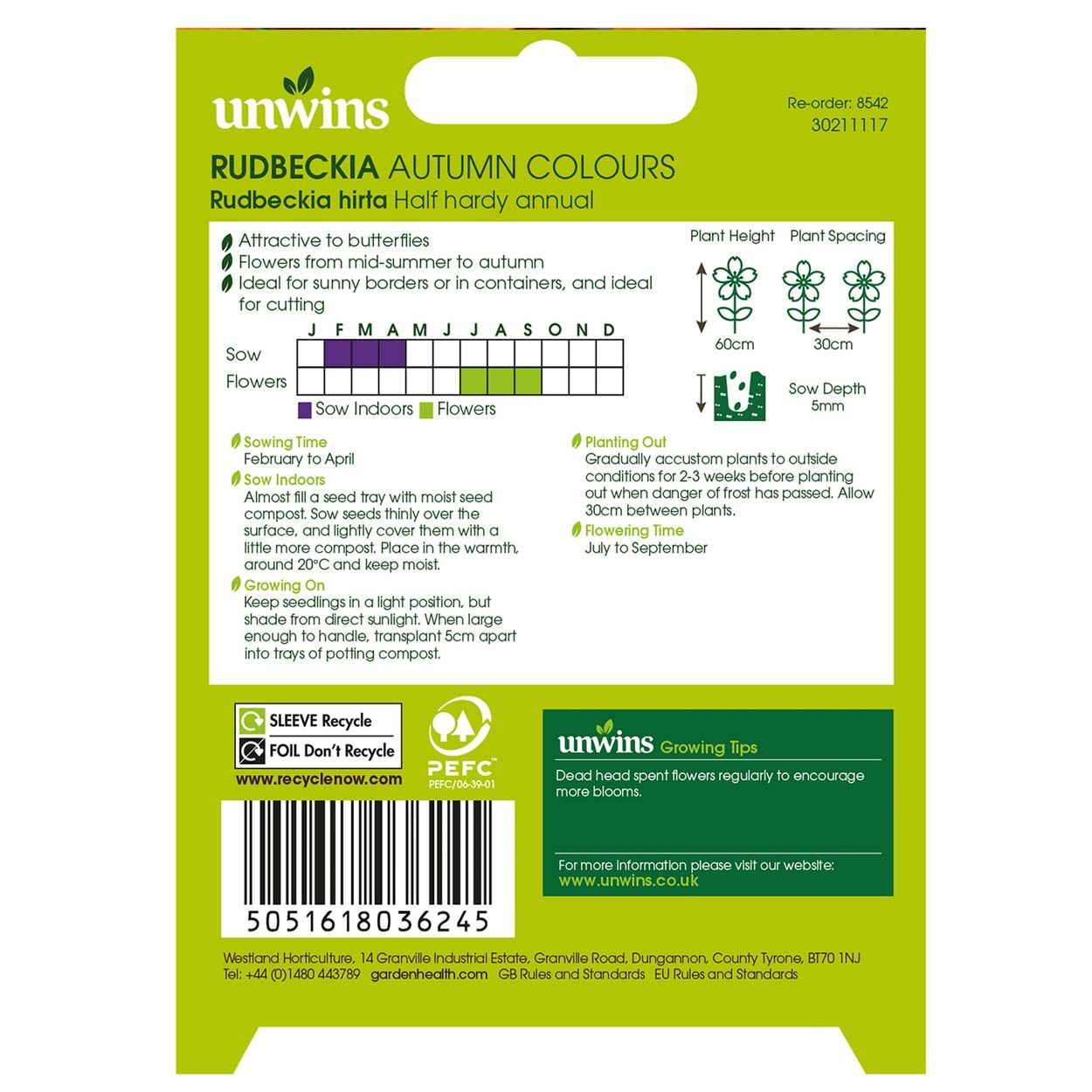 NH Rudbeckia Autumn Colours