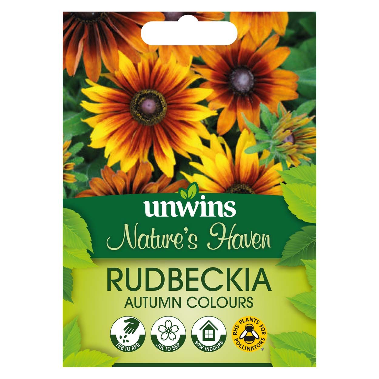 NH Rudbeckia Autumn Colours