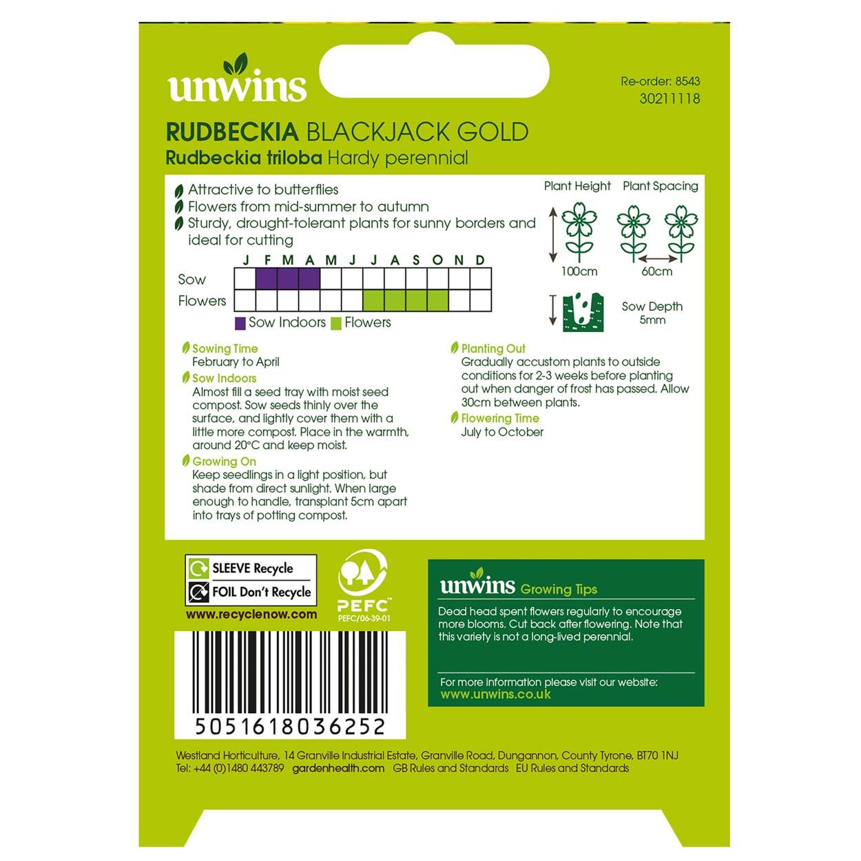 NH Rudbeckia Blackjack Gold