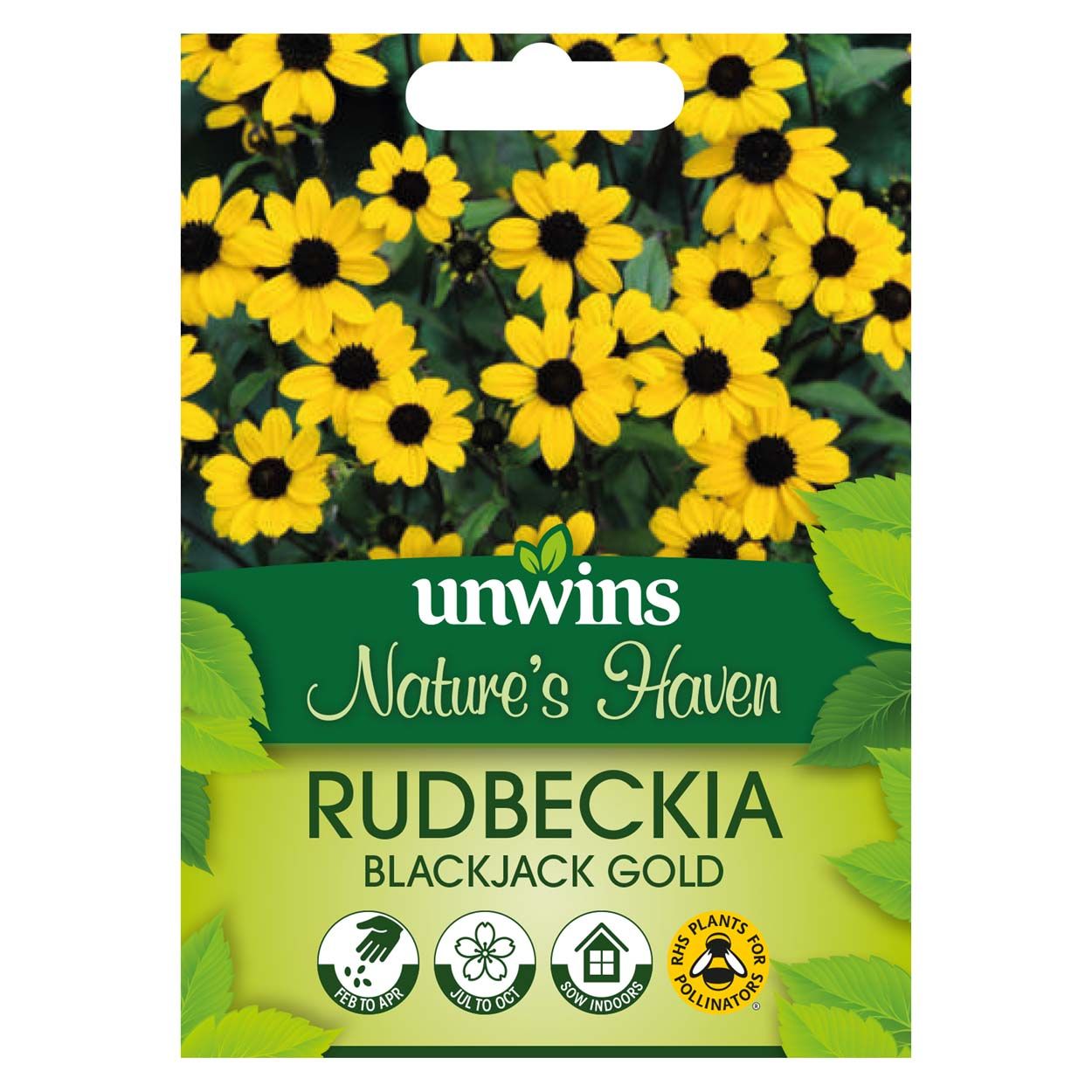NH Rudbeckia Blackjack Gold