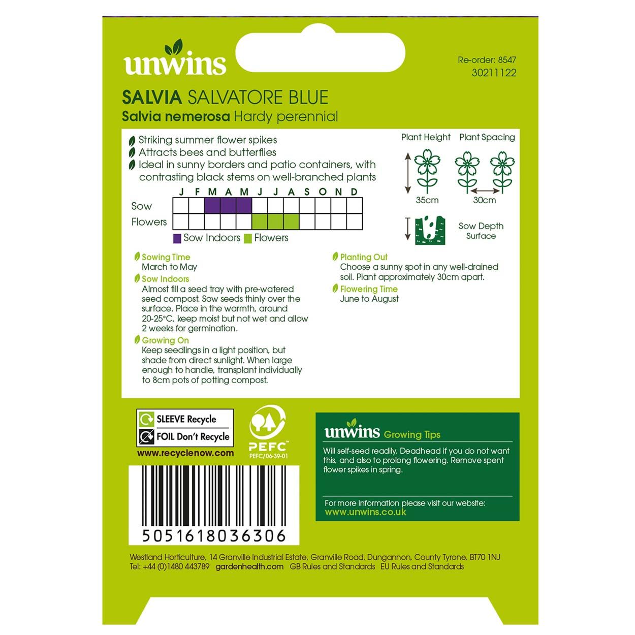 NH Salvia Salvatore Blue