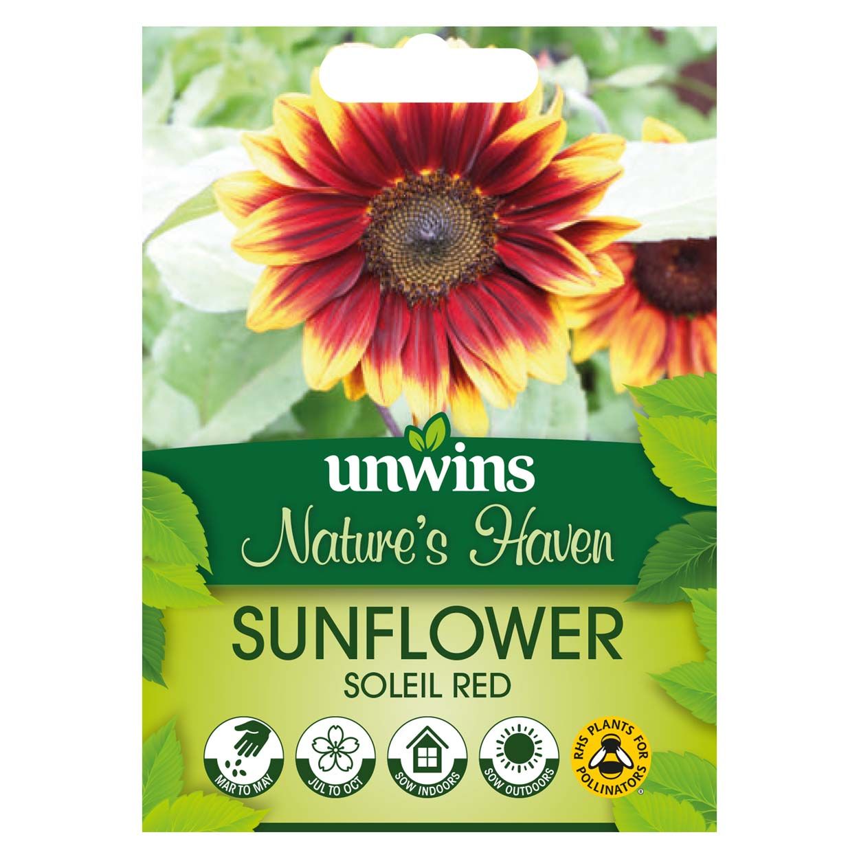 NH Sunflower Soleil Red