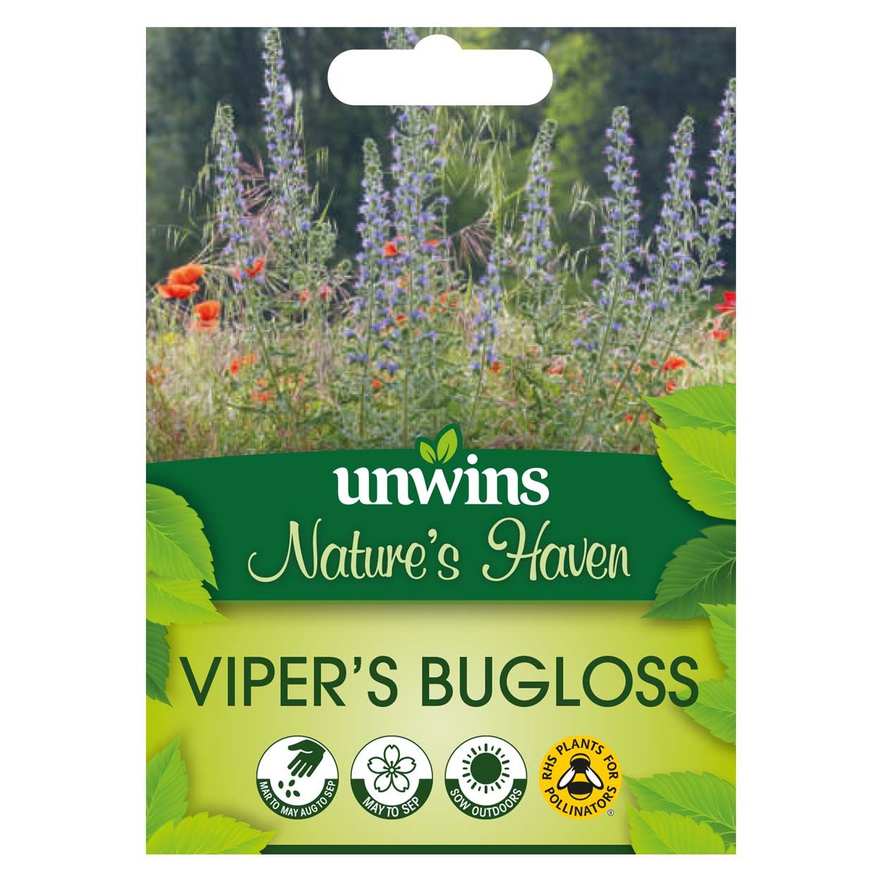 NH Viper's Bugloss
