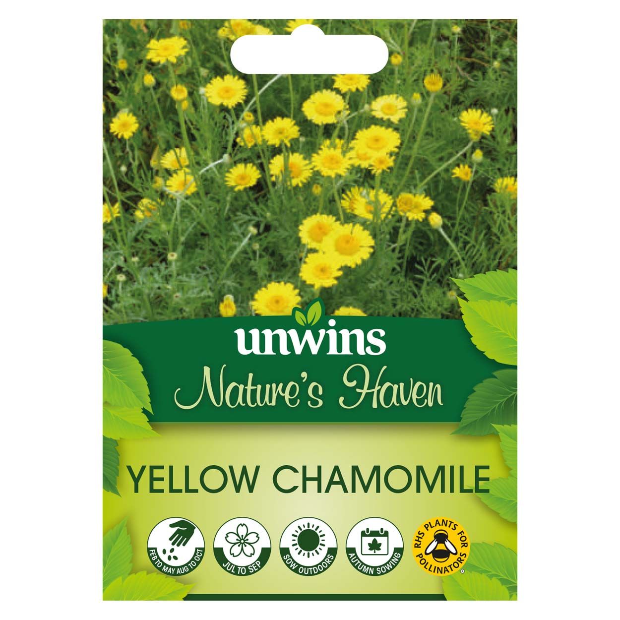 NH Yellow Chamomile