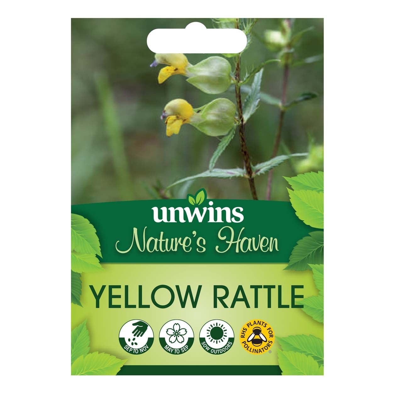 Yellow Rattlw NH Yellow Rattle | Woodie's