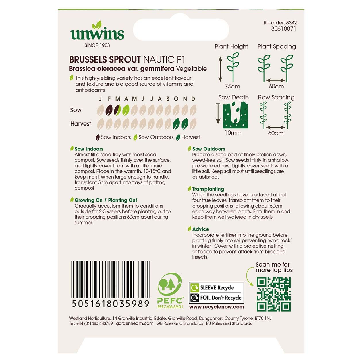 Brussels Sprout Nautic F1 (Organic)