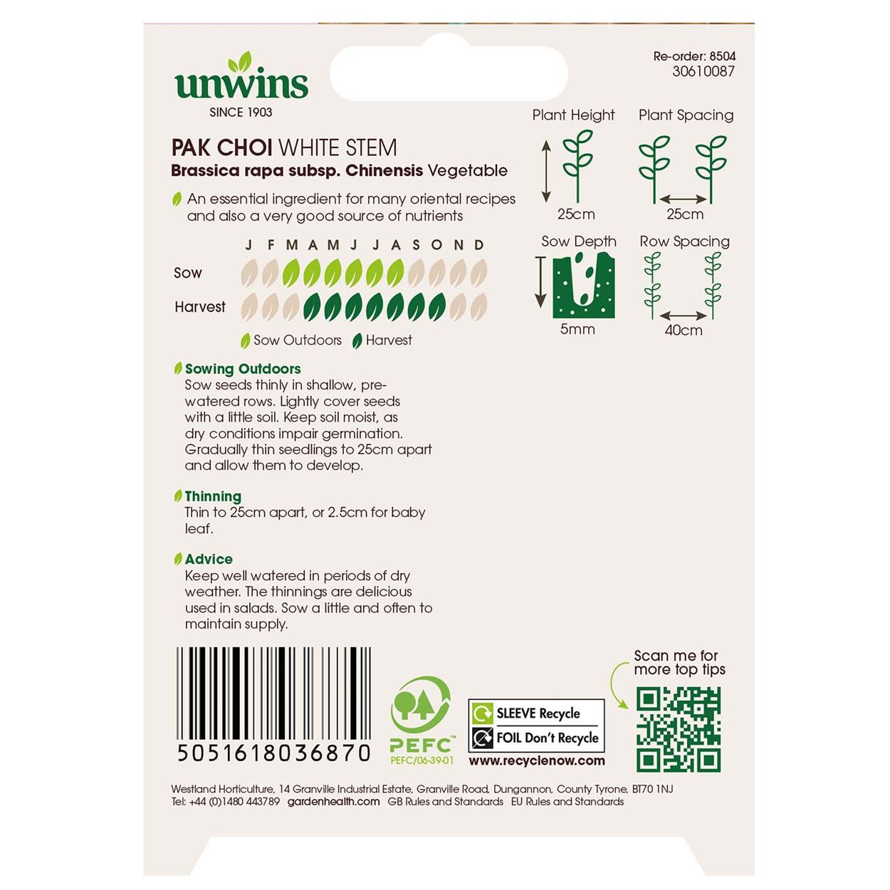 Pak Choi White Stem (Organic)