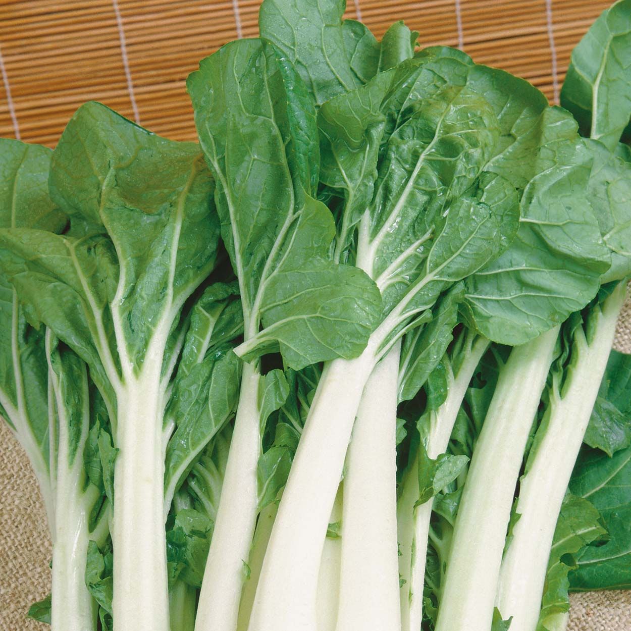 Pak Choi White Stem (Organic)