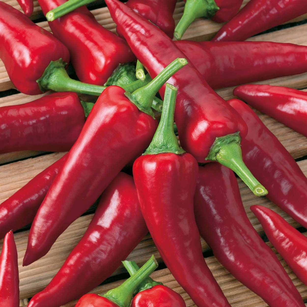 Pepper (Chilli) Cayennetta F1