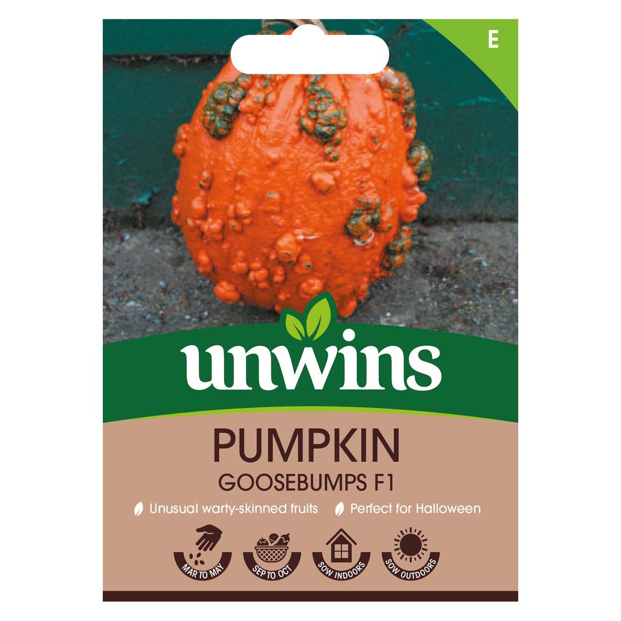 Pumpkin Goosebumps F1