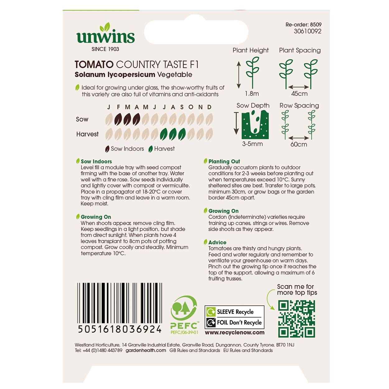 Tomato Country Taste F1 (Organic)