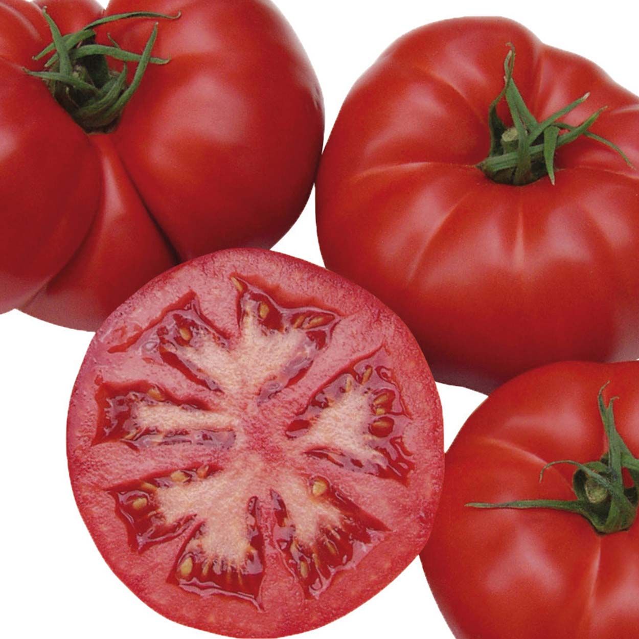 Tomato Country Taste F1 (Organic)