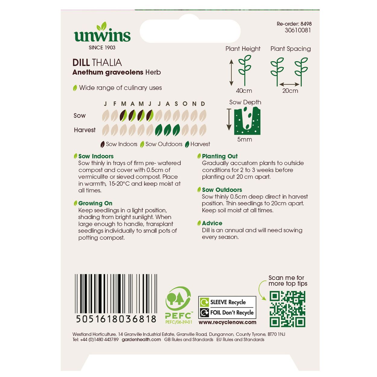 Herb Dill Thalia (Organic)