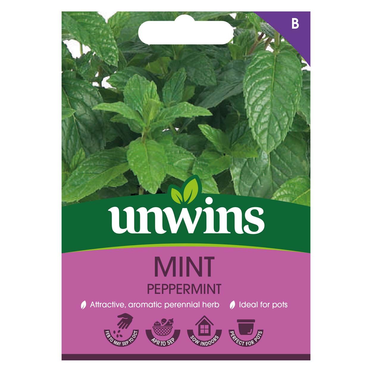 Herb Peppermint