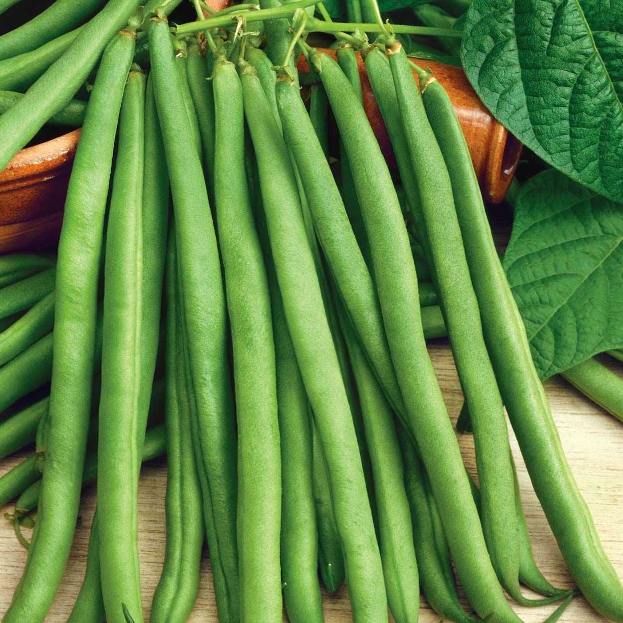 French Bean (Dwarf) Faraday