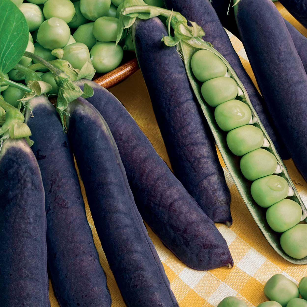 Pea Purple Magnolia (Snap)