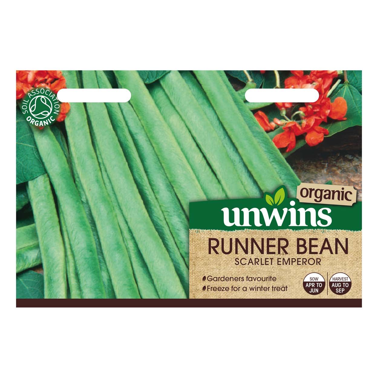 Runner Bean Scarlet Emperor (Organic)