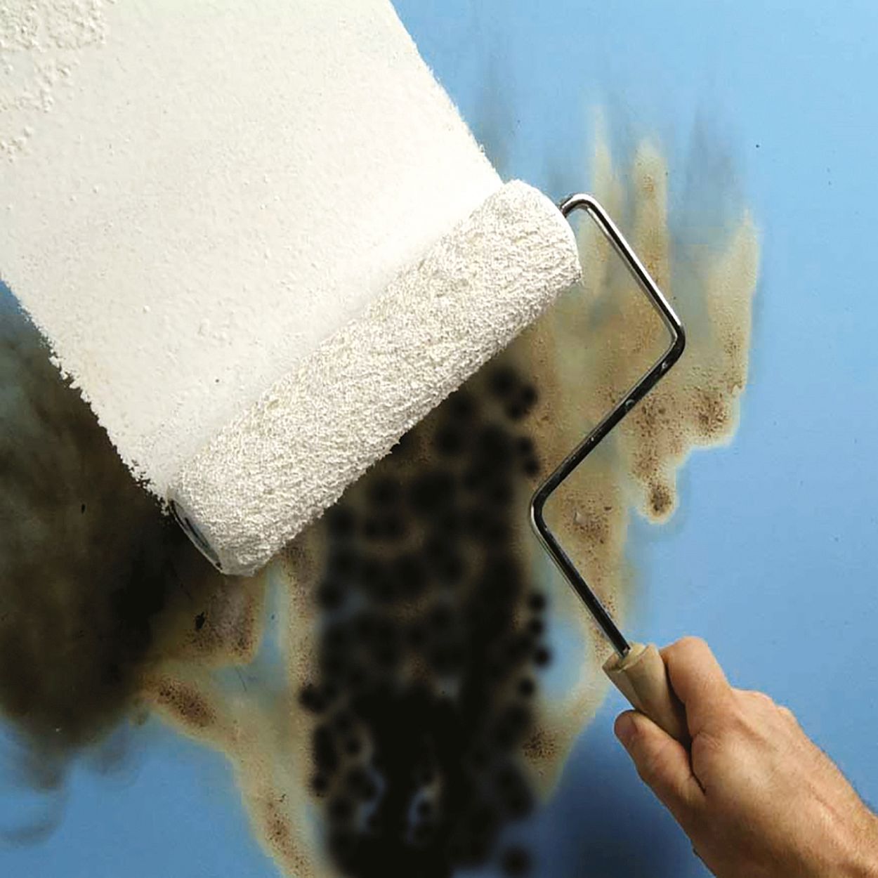 Zinsser B-I-N Primer Sealer 5L