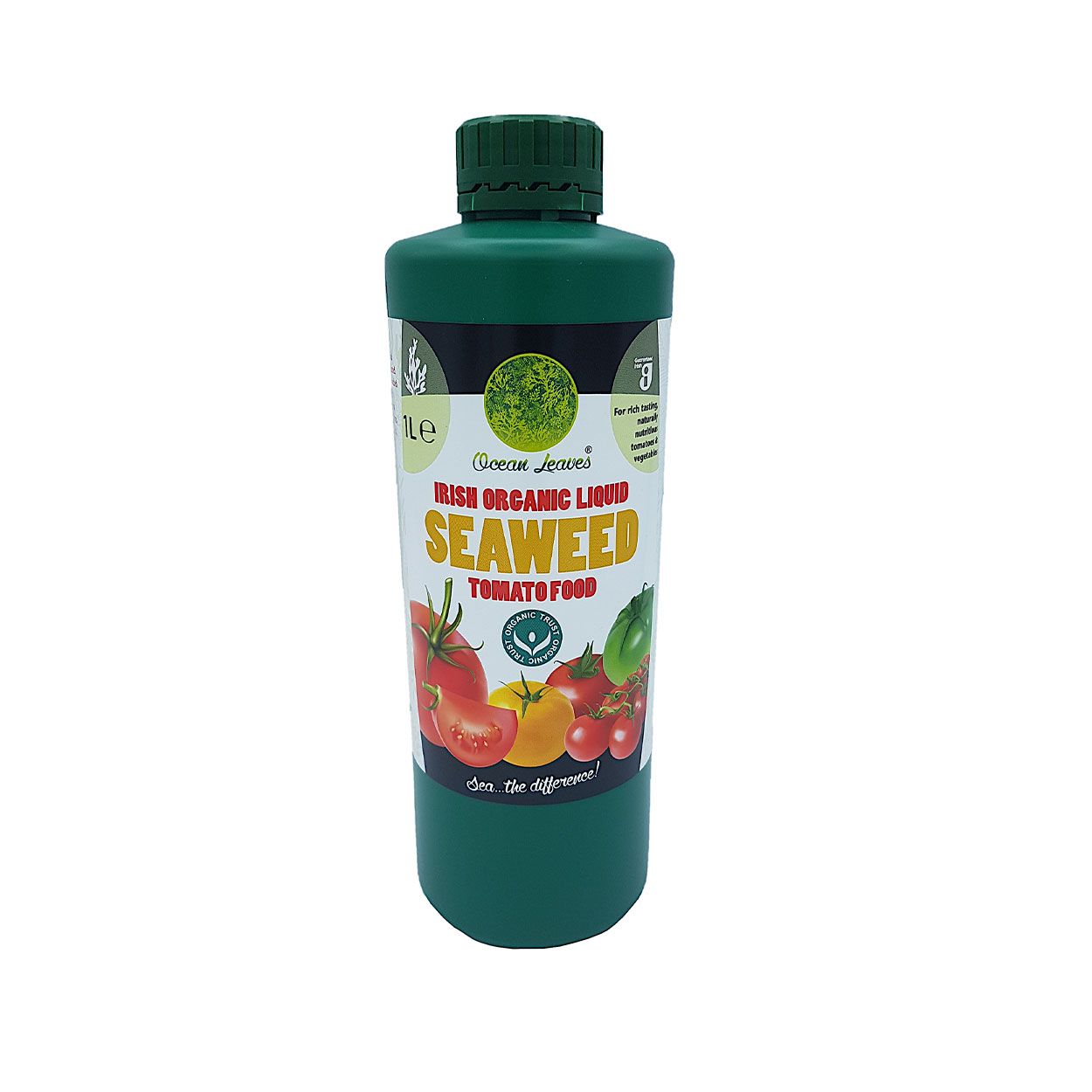 Ocean Leaves Seaweed Tomato Food