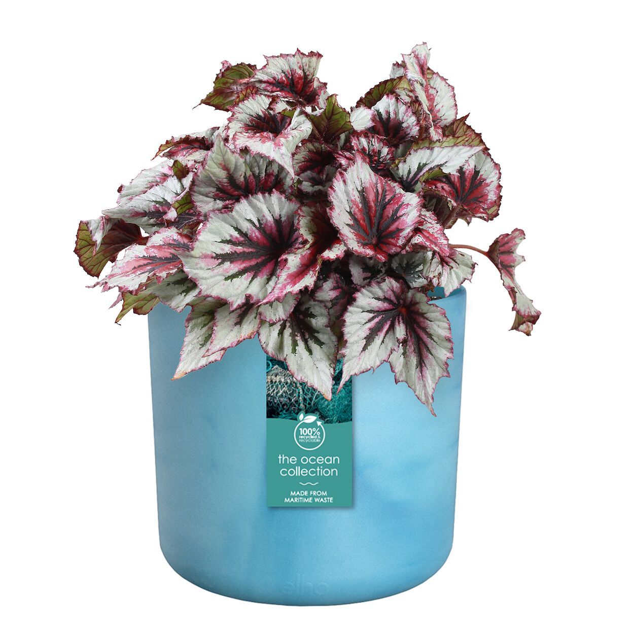 The Ocean Collection Pot 14cm Blue
