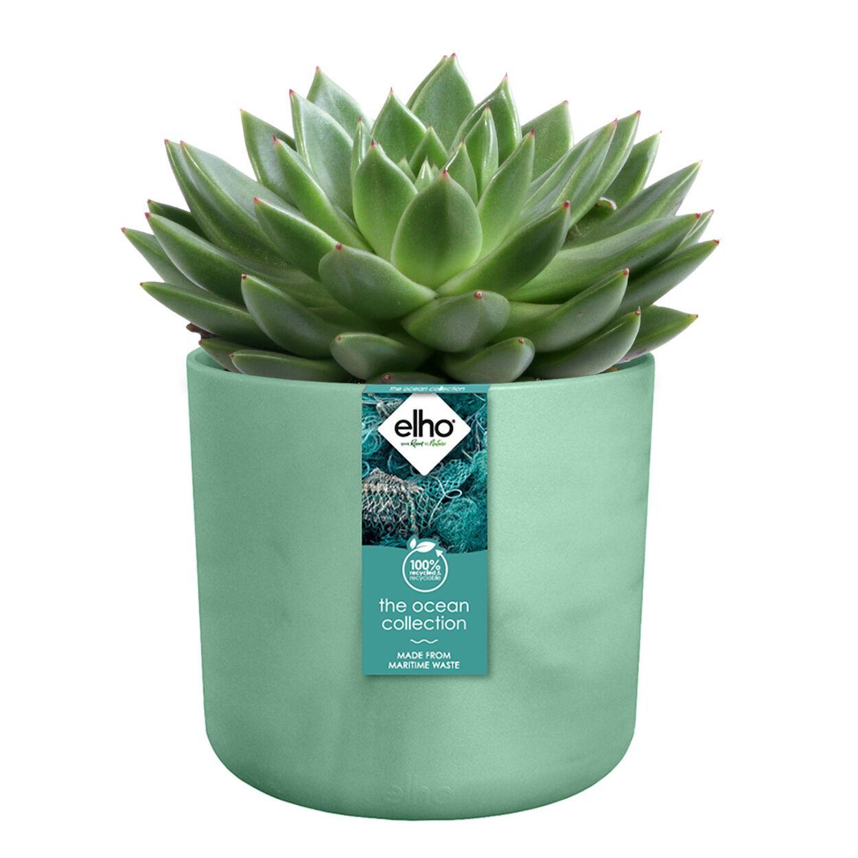 The Ocean Collection Pot 14cm Green