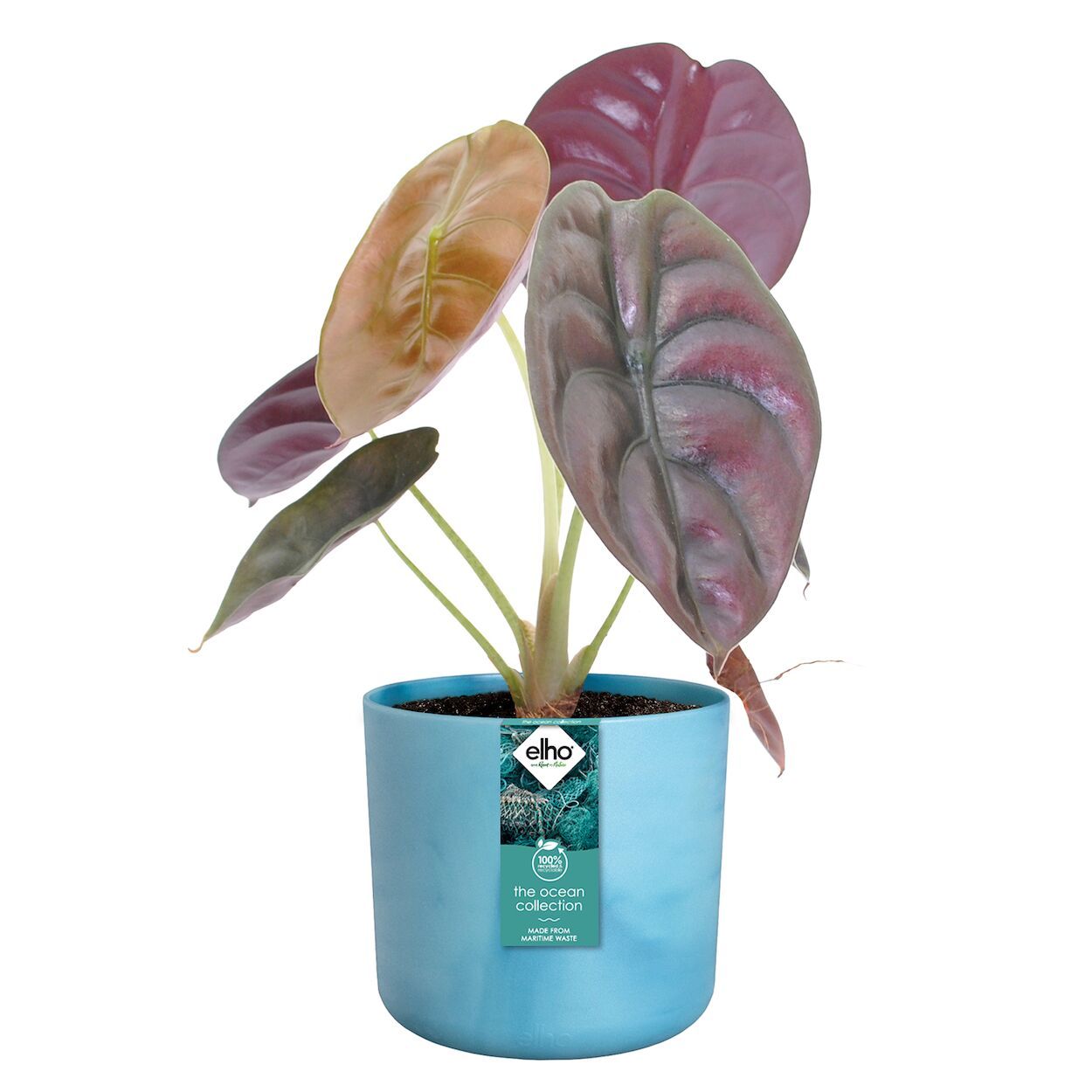 The Ocean Collection Pot 16cm Blue