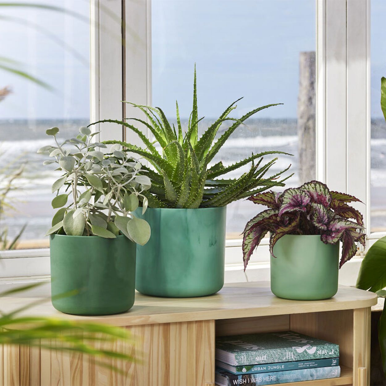 The Ocean Collection Pot 18cm Green