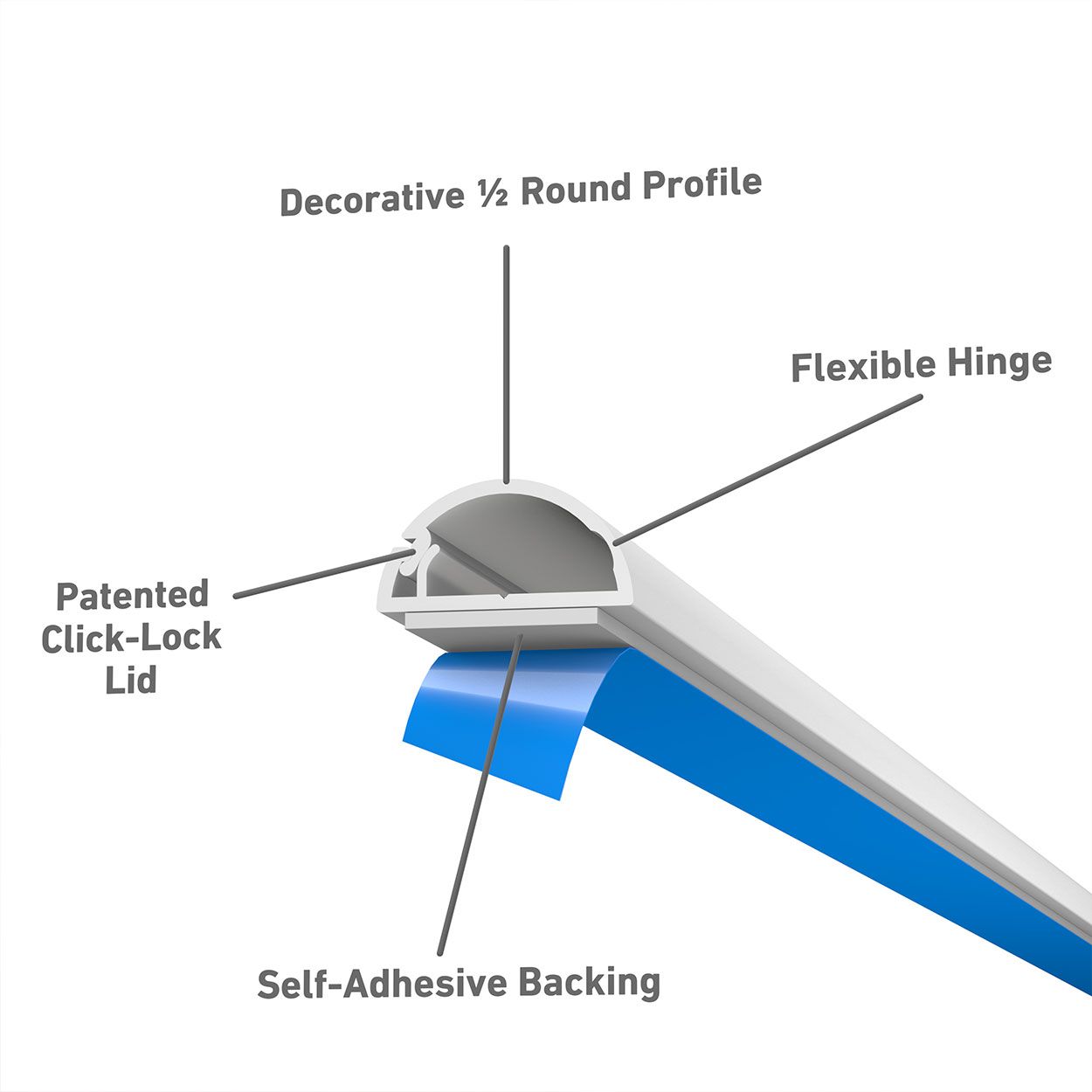 D-Line 2M Length Trunking 16X08 Half Round - White