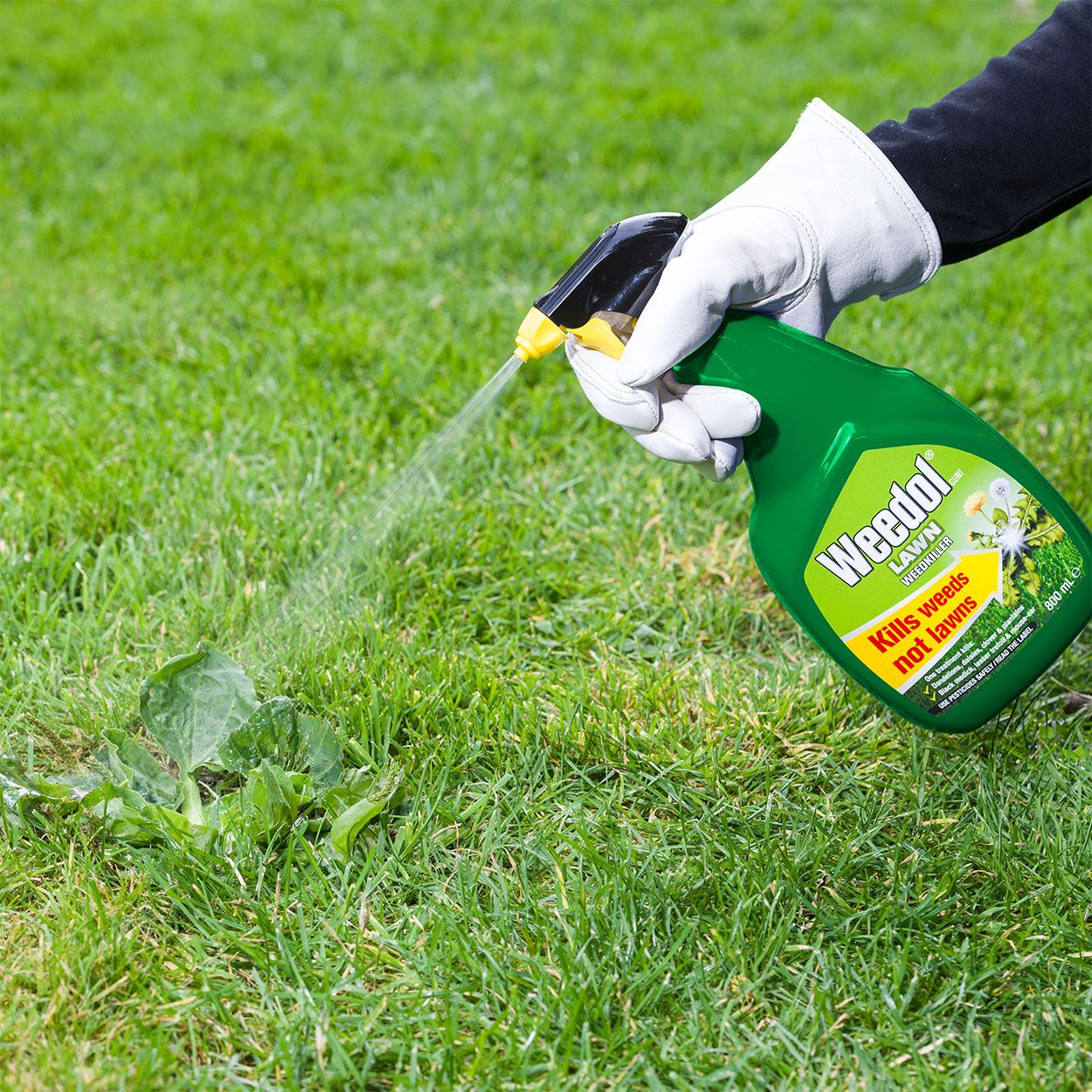 Weedol Lawn Weedkiller 800ml