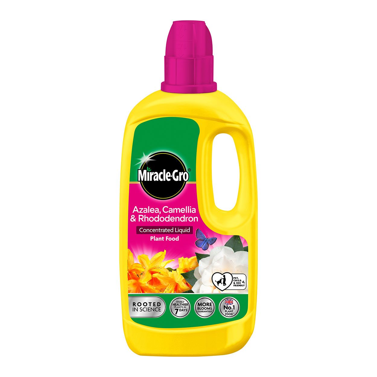 Miracle Gro Azalea, Camellia, Rhododendron Plant Food 800ml