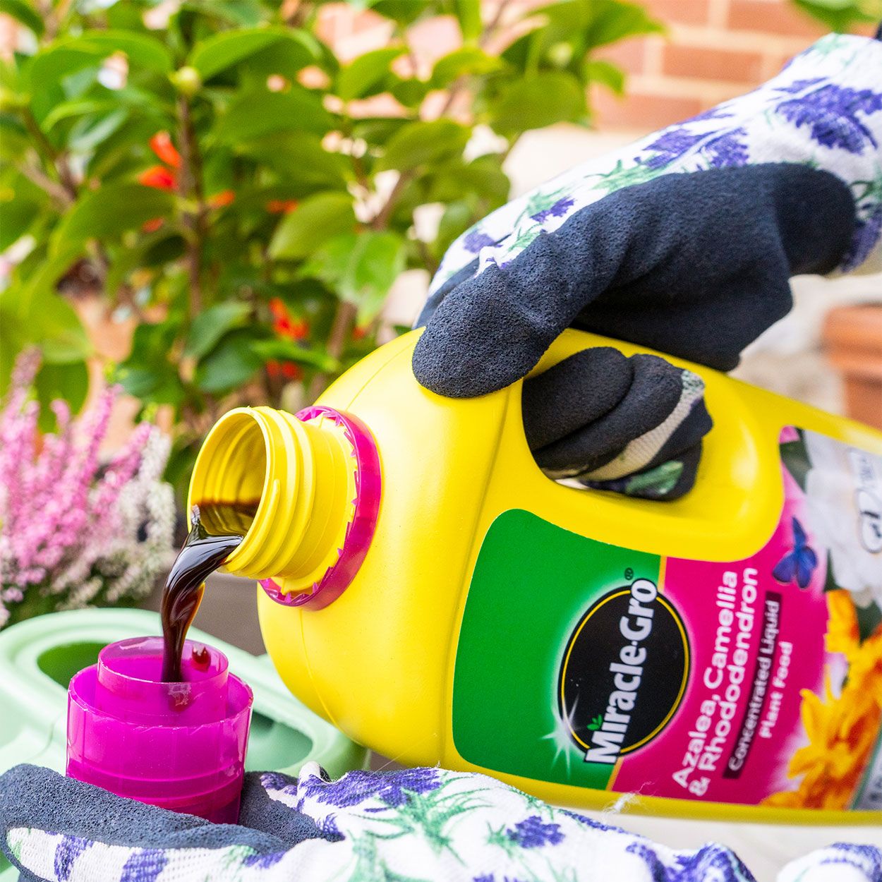 Miracle Gro Azalea, Camellia, Rhododendron Plant Food 800ml