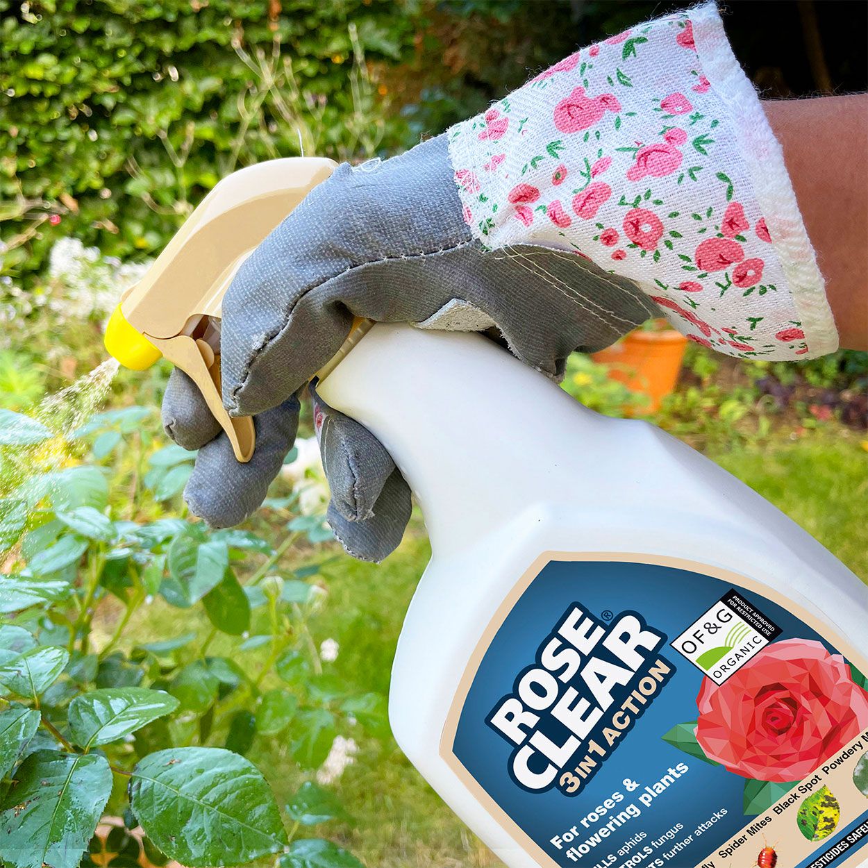 Roseclear 3-in-1 Action 800ml