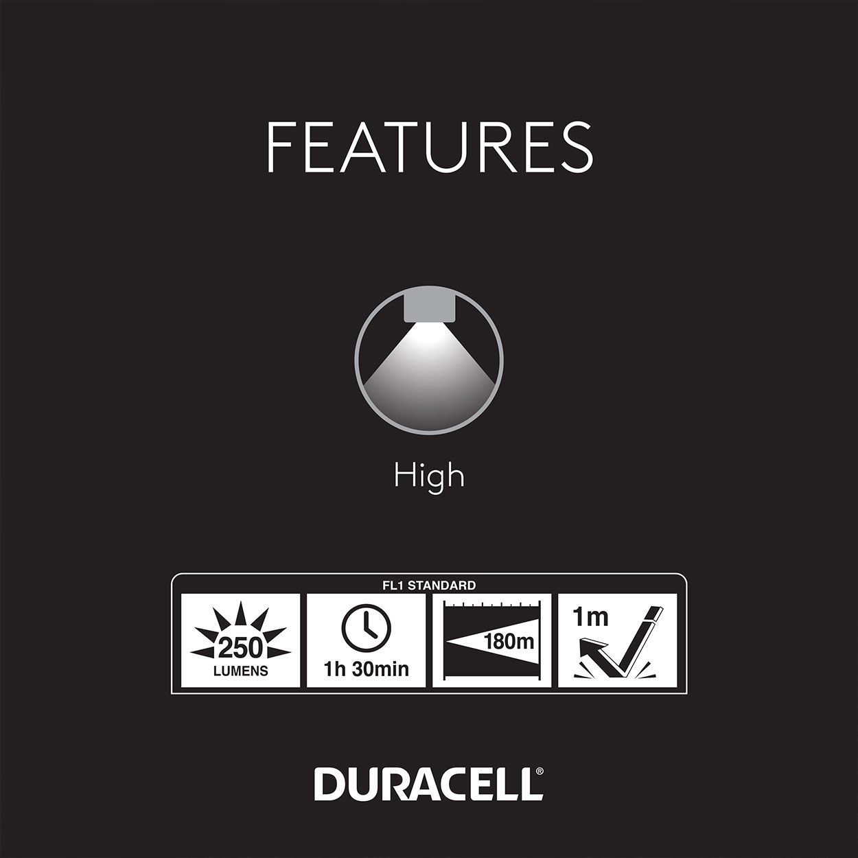Duracell 250 Lumen Aluminum Flashlight