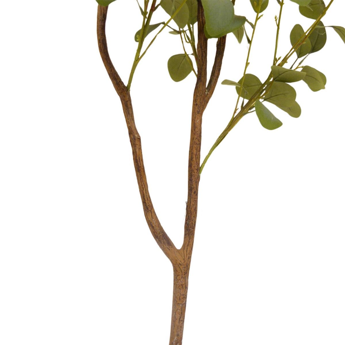 Eucalyptus Tree - 130cm