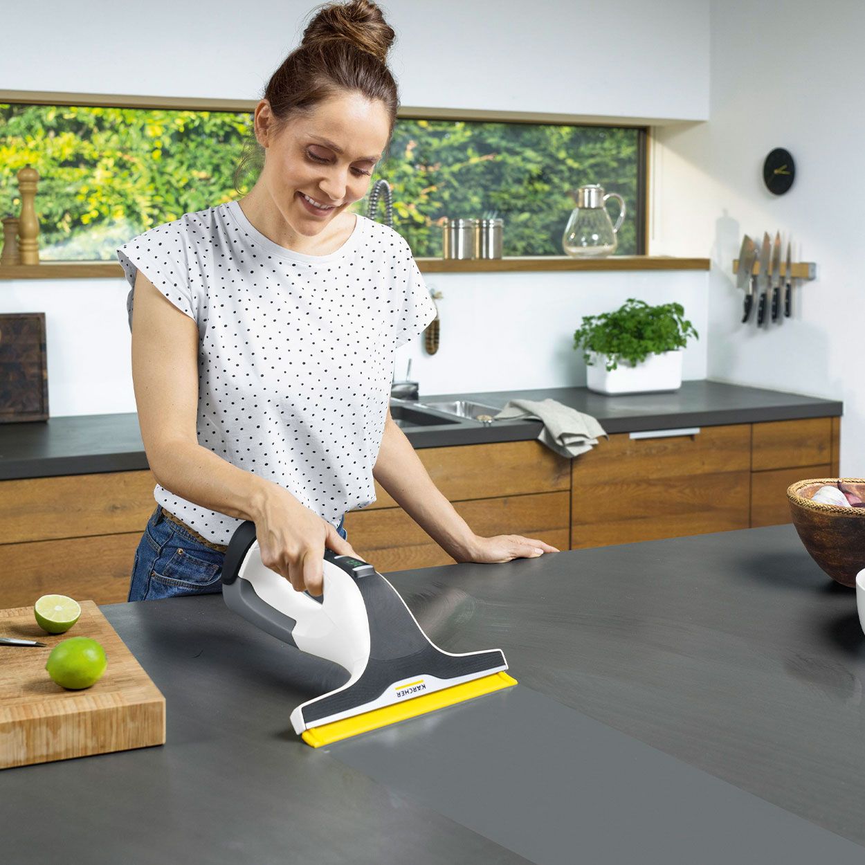 Karcher WV6 Plus Window Vac