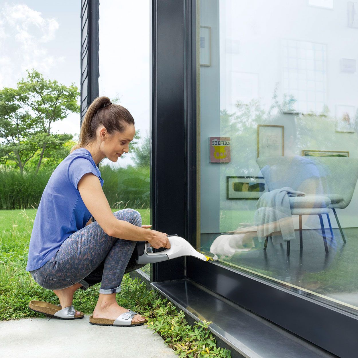 Karcher WV6 Plus Window Vac