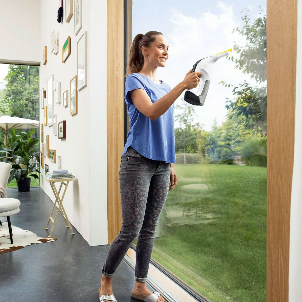 Karcher WV2 Plus Window Vac