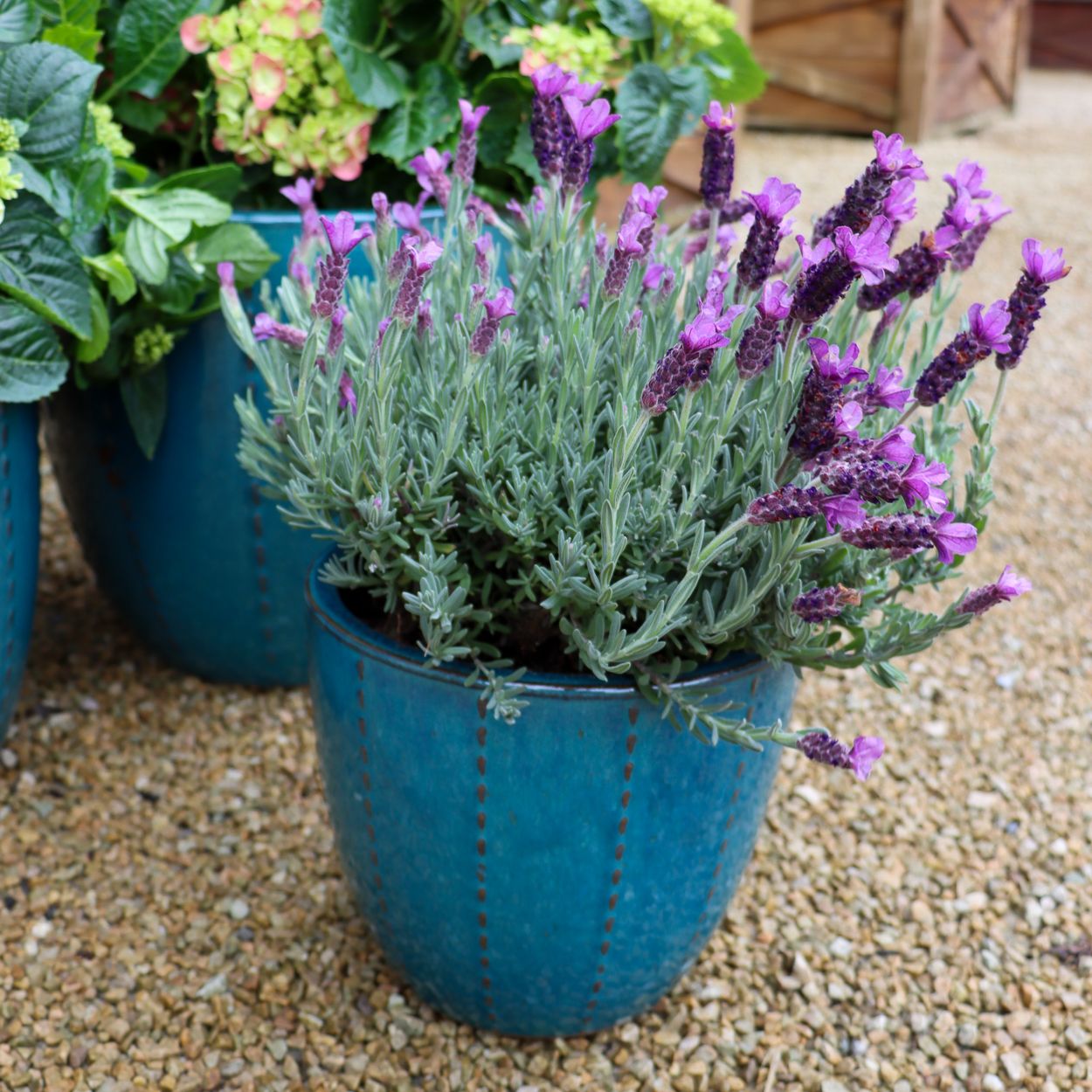 Seoul Pot Blue 23cm
