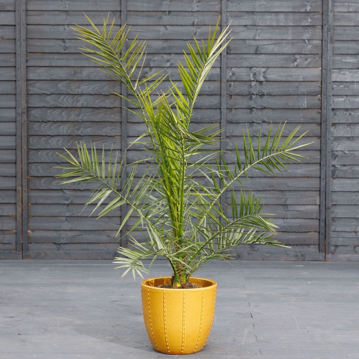 Seoul Pot Ochre 30cm