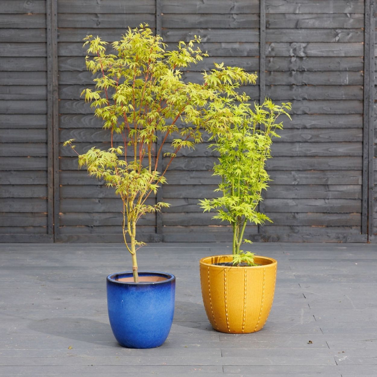 Seoul Pot Ochre 30cm