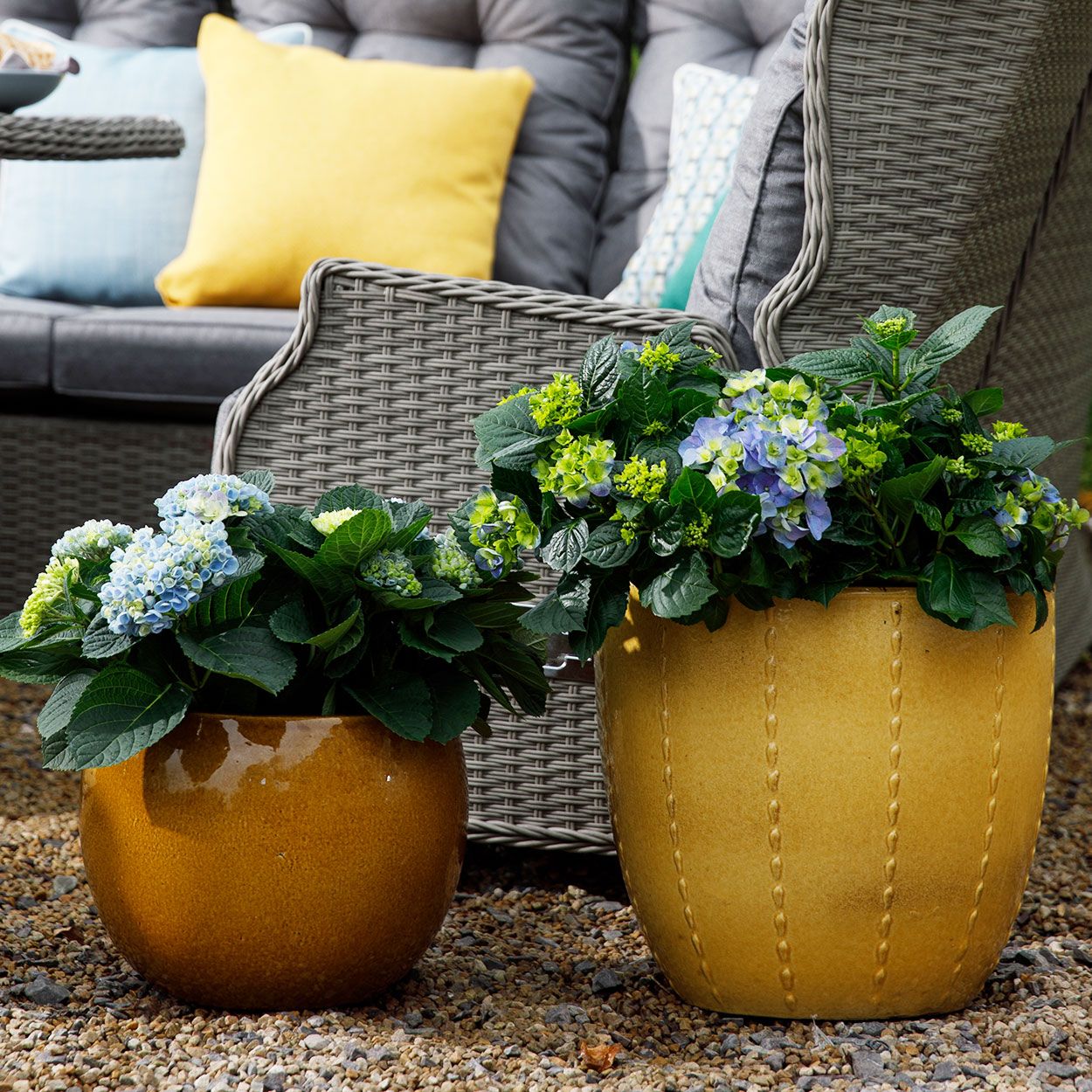 Shanghai Pot Ochre 24cm