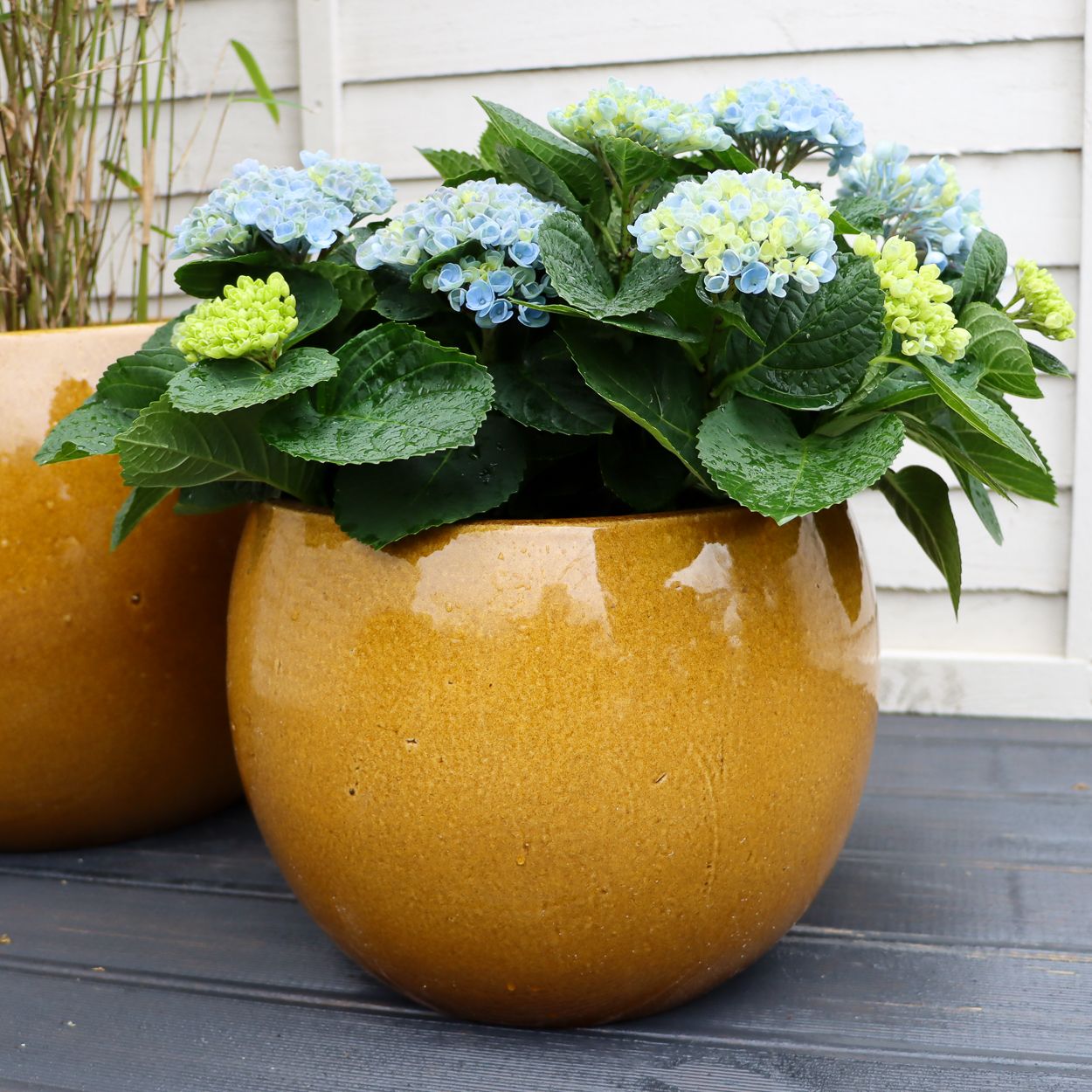 Shanghai Pot Ochre 32cm