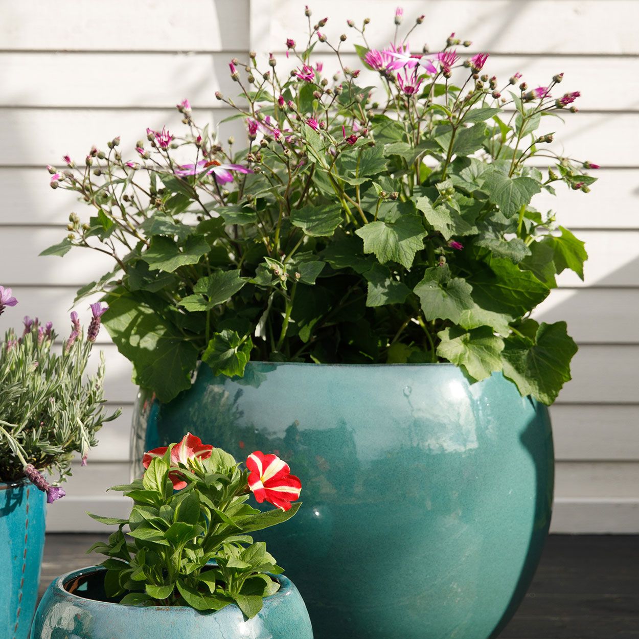 Shanghai Pot Blue 43cm