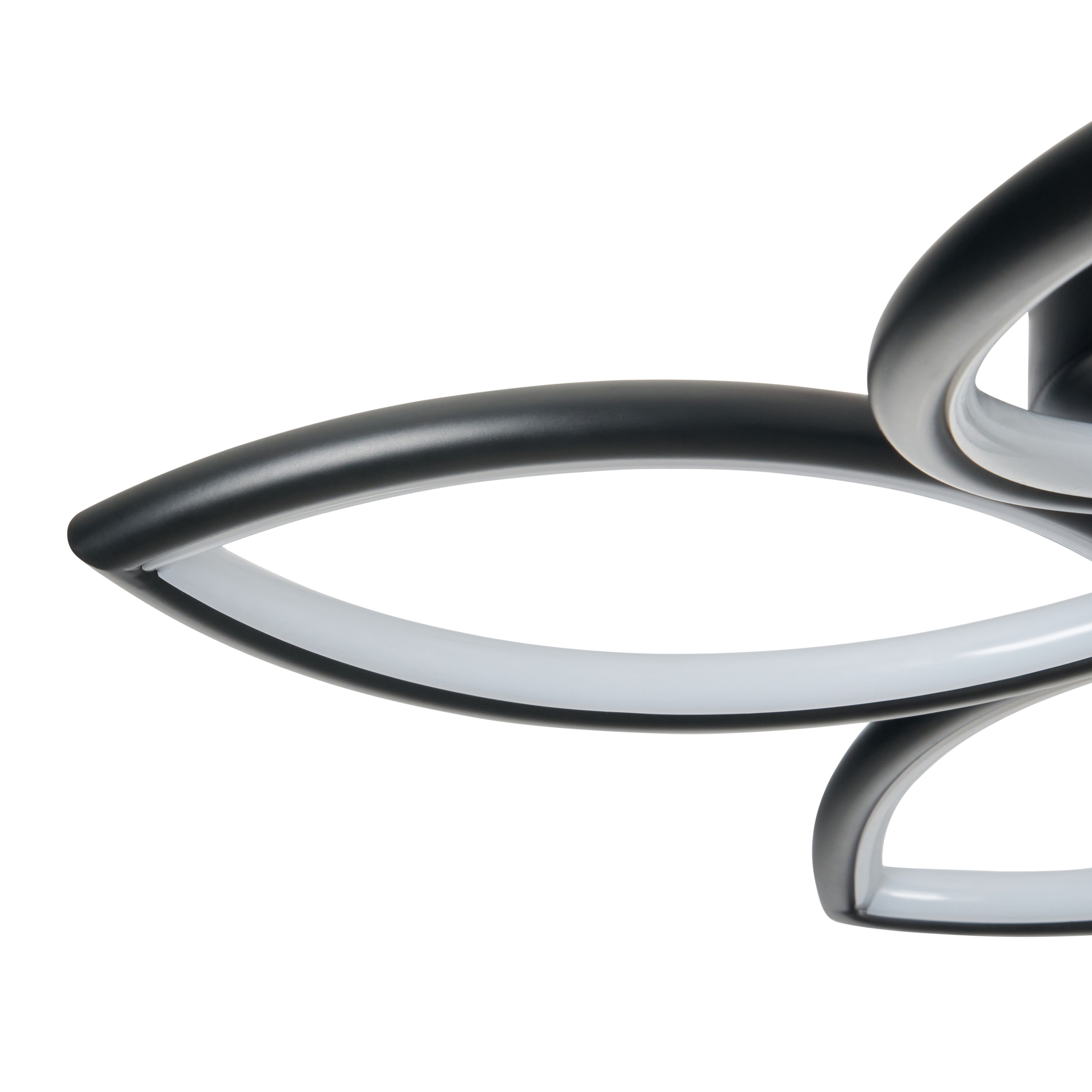 Renza 5 Leaf LED Ceiling Light Black